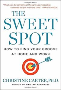 The Sweet Spot by Chrstine Carpenter PH D