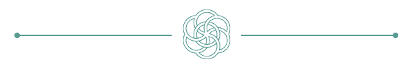 a line drawing of a circular object with two arrows.