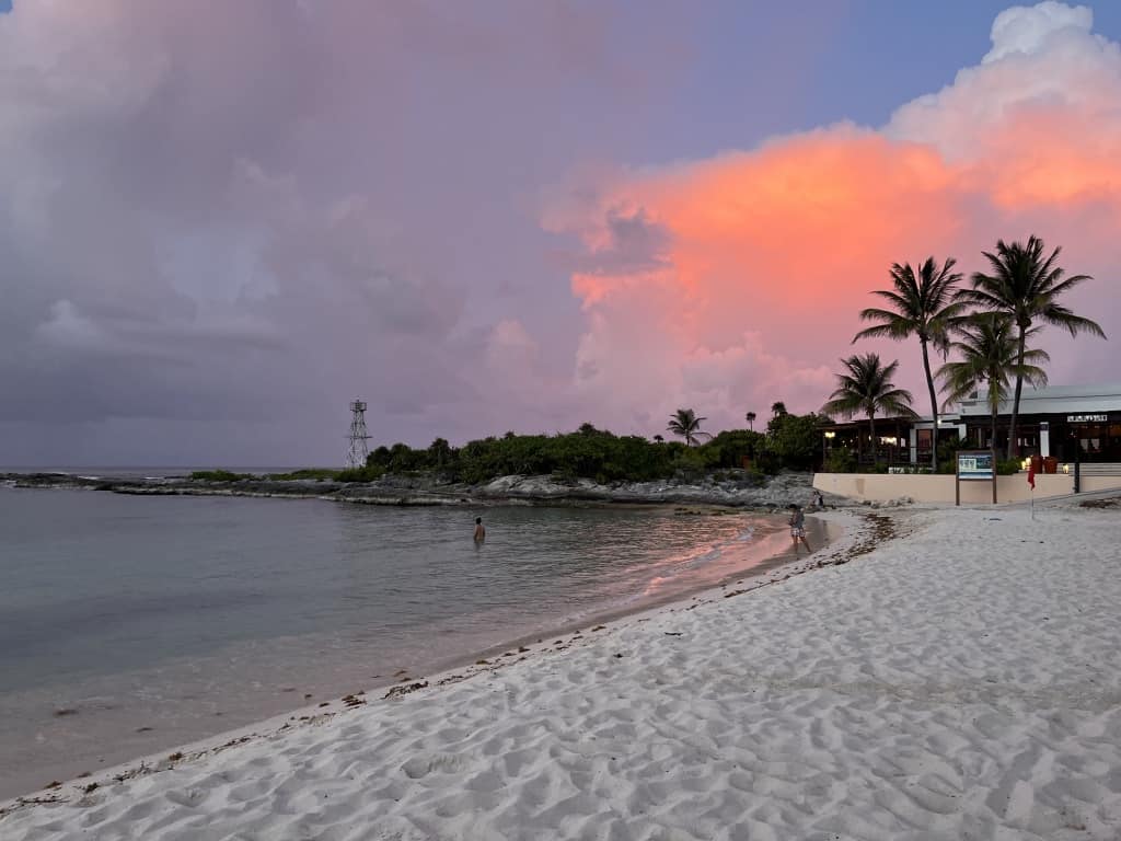 club med a beach with palm trees and a pink sky.