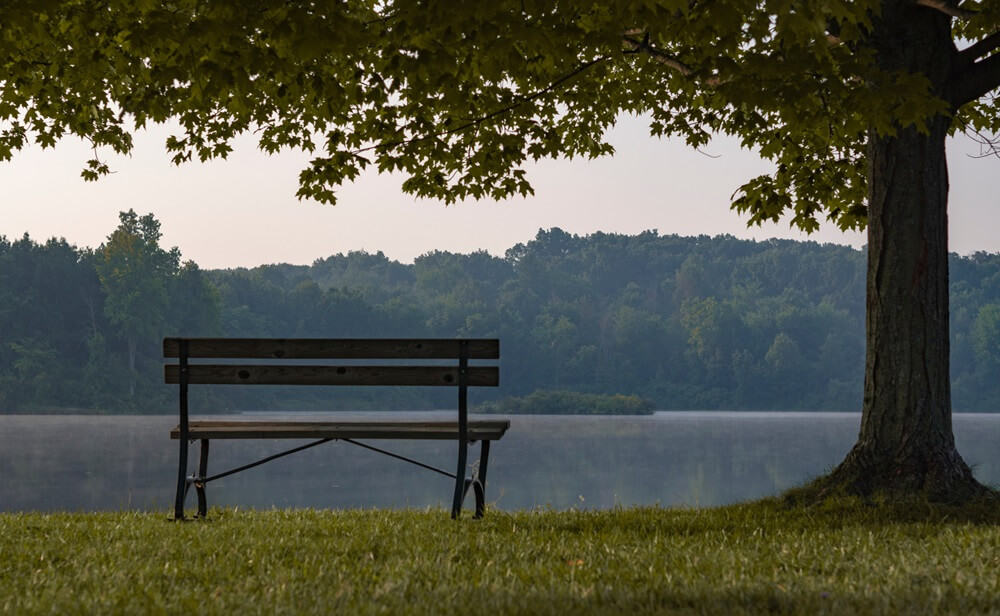 A bench in front of a lake.