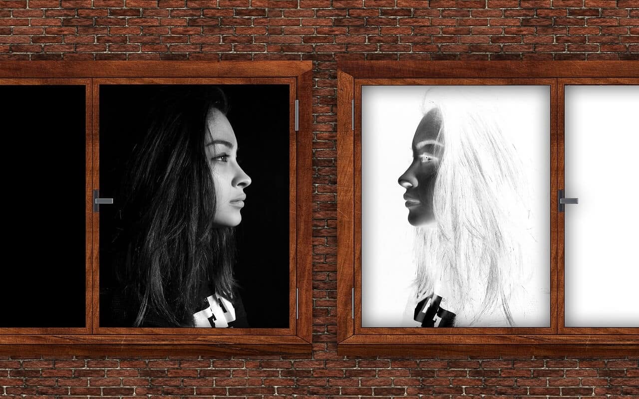 Two side-by-side wooden-framed windows on a brick wall showcase black-and-white profile photos of the same woman facing each other, one image in negative—a haunting reflection of her shadow self.