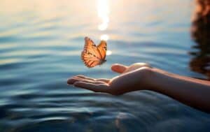 A butterfly hovers above an open hand near a calm body of water with sunlight reflecting on the surface.