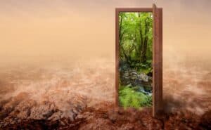 Homepage 4 A wooden door stands open in a barren, dry landscape, revealing a lush green forest and a creek on the other side.