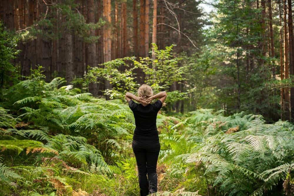 Building Emotional Resilience Through Radical Stability 4 A person with blonde hair stands in a green forest clearing surrounded by ferns and tall trees, facing away from the camera with hands behind their head, embodying a sense of emotional resilience in nature’s calm embrace.